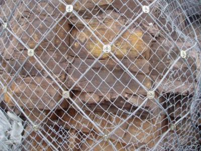 荷塘區柔性邊坡防護網