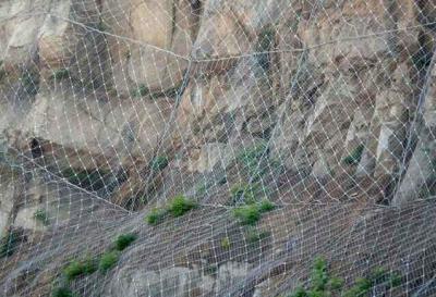 荷塘區柔性邊坡防護網