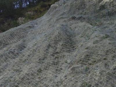 青河縣主動防護網