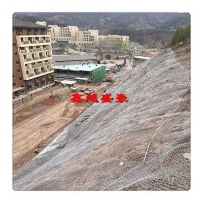 阿勒泰邊坡防護網施工案例