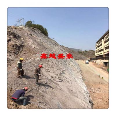 阿勒泰邊坡防護網施工案例