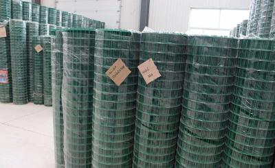 昌吉荷蘭網(wǎng)