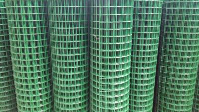 昌吉荷蘭網(wǎng)