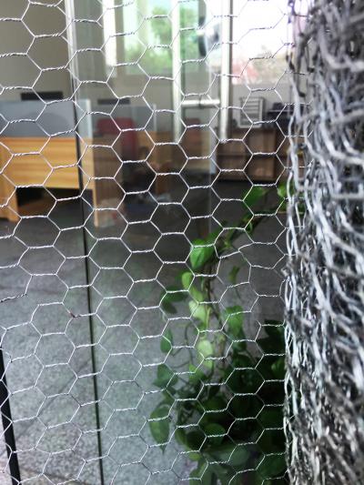 桂東縣小六角網